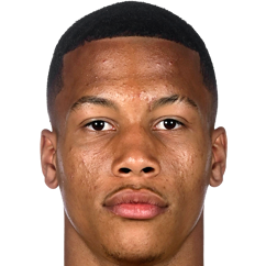 艾斯特·弗兰克斯