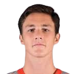 达奇·罗德基帕尼泽