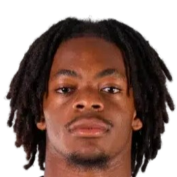 莱昂内尔·恩甘圭