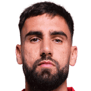 罗曼·德尔卡斯蒂略