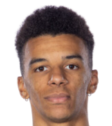 鲁伊·莫德斯托