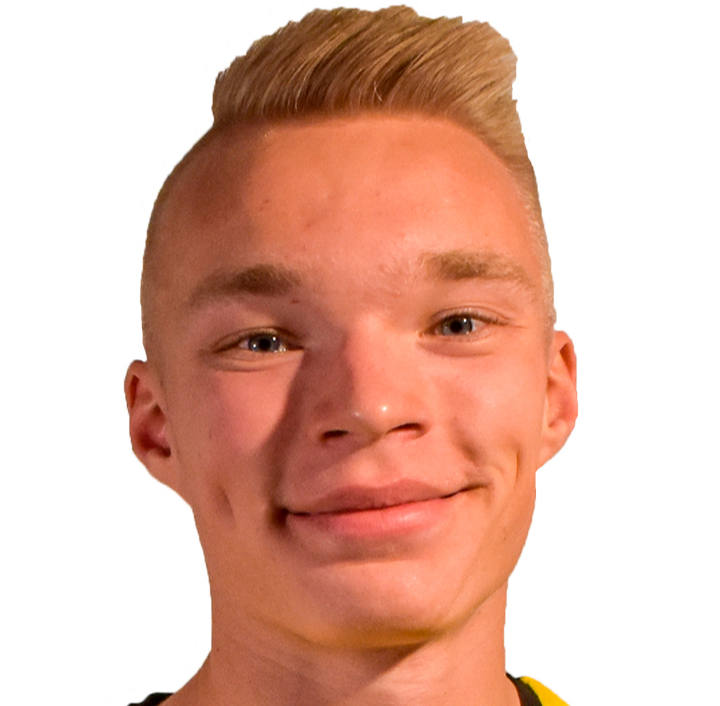 伊尔马里·尼斯卡宁