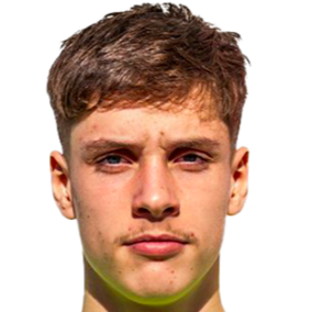 朱尔斯·斯塔维茨基